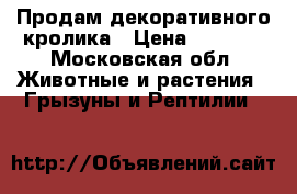 Продам декоративного кролика › Цена ­ 2 000 - Московская обл. Животные и растения » Грызуны и Рептилии   